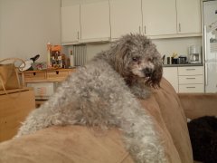 nr enden er god er alting godt