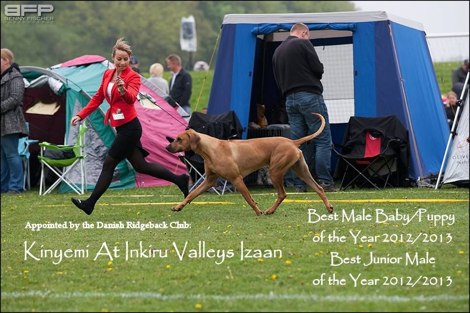 Izaan best junior male of the year