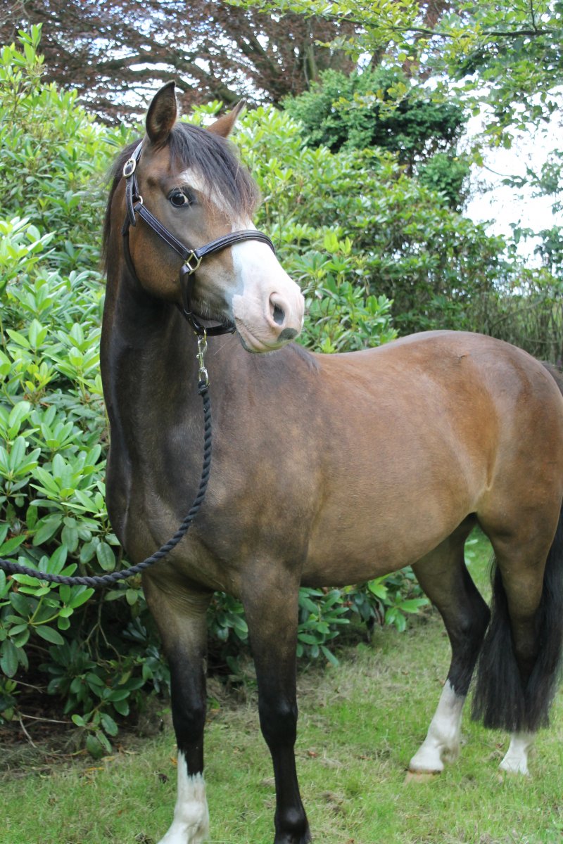 Nice Device :-) Nice Device