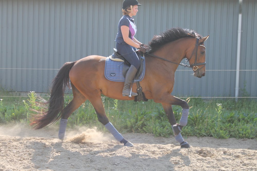 Nuit Galop d. 7-7-2014