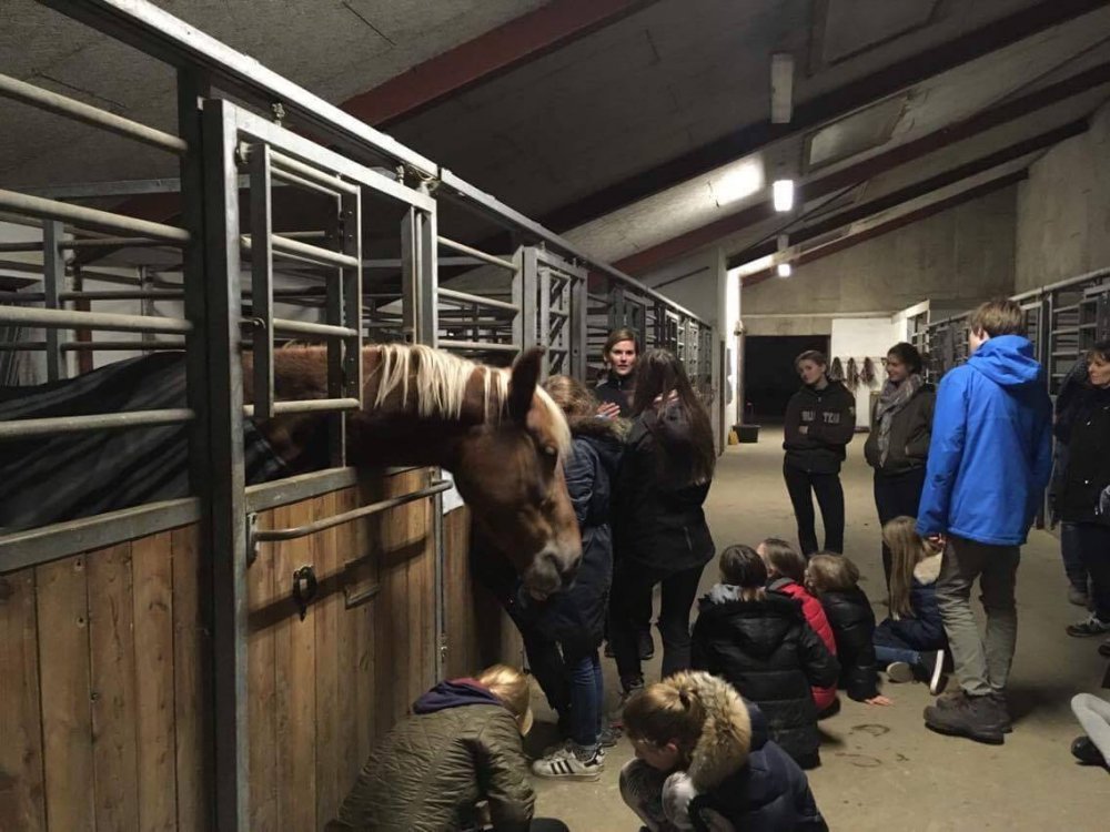 Fra foredraget for juniorrytterne på Digelse Rideklub