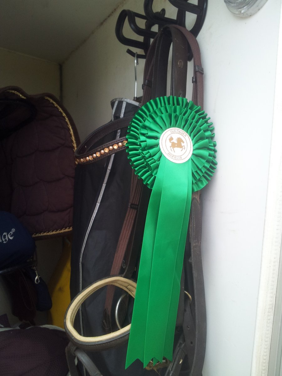 4 plads Guldager 4 plads guldager