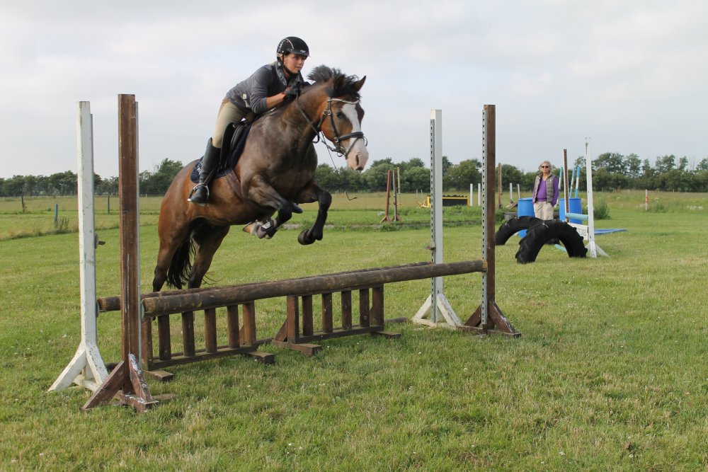 Nice Device spring Nice Device spring