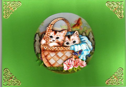 Kurv med katte