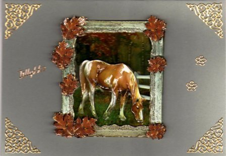 Plettet hest