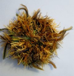 Broche: Design Flowery25