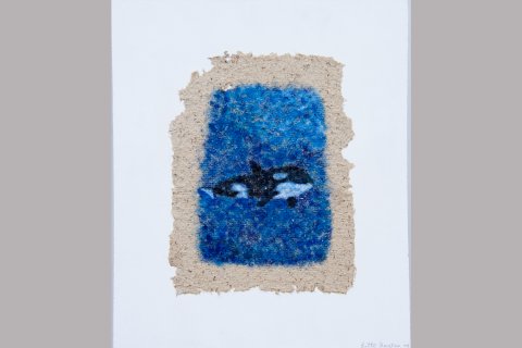 Billed nr. 11