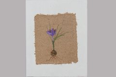 Billed nr. 01