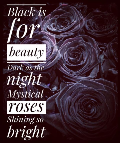 black roses betina huber