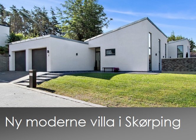 Moderne enfamiliehus med ensidig taghældning