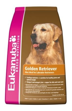 Golden Retriever 12 kg