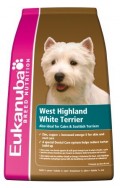 West highland white terrier 2,5kg