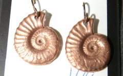 Copper nautilus