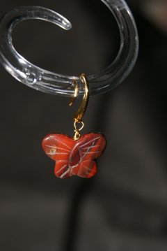 Love butterfly
