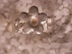 Flower1