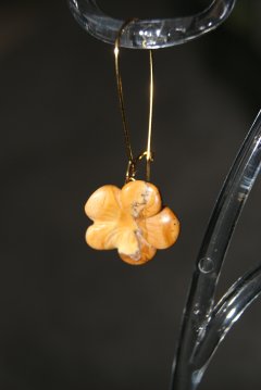 Ocra flowers