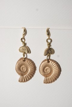 Nautilus bronze
