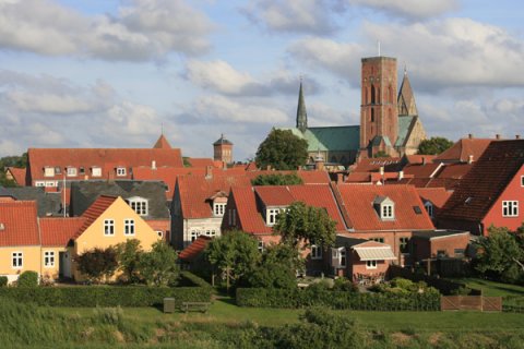 Ribe, Syddanmark