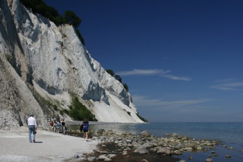 Møns klint