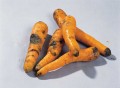 Odenberg Titan Carrot