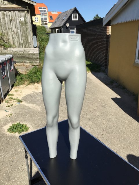Gine - Bord