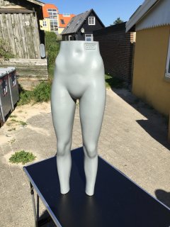 Gine - Bord