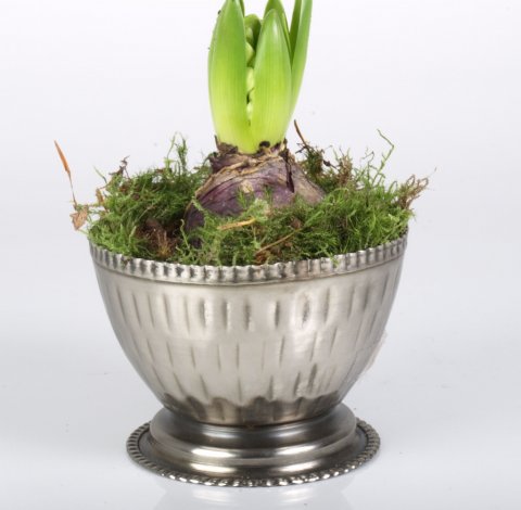 Rund Schale, medium, metal, 11x8 cm