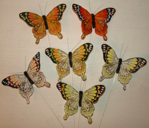 Schmetterling 10 cm