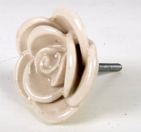 Knop rose, creme