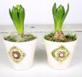 Blumen Topf, H10,3 cm, polystone