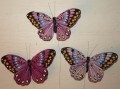 Schmetterling 11 cm