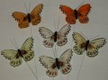 Schmetterling 7 cm