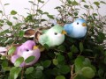 Vogel auf Draht, Grn, Blau, Pink