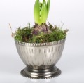 Rund Schale, medium, metal, 11x8 cm
