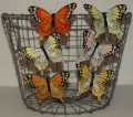 Schmetterling auf clip 10 cm