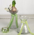 Hyacint vase, 16,5x9 cm, klar glas