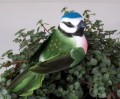 Vogel 9 cm