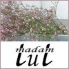 Madam Tut