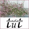Madam Tut