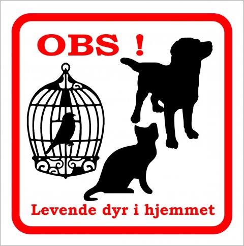 Levende dyr 12 x 12 cm