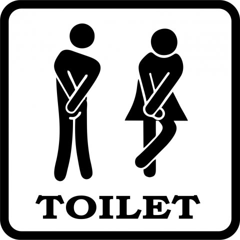 Toilet (New) 120 x 120 mm