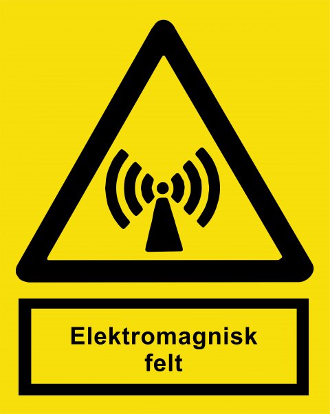 Elektromagnetisk felt 148 x 210 mm