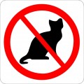 Katte forbudt