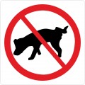 Hundetis forbudt