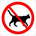 Katte forbudt