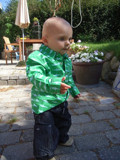 Tiny Minymo skjorte med hajer