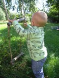 Bluser