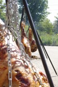 Grillet Kalvelr med buffet