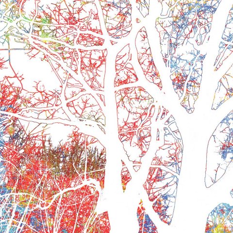 colour my trees