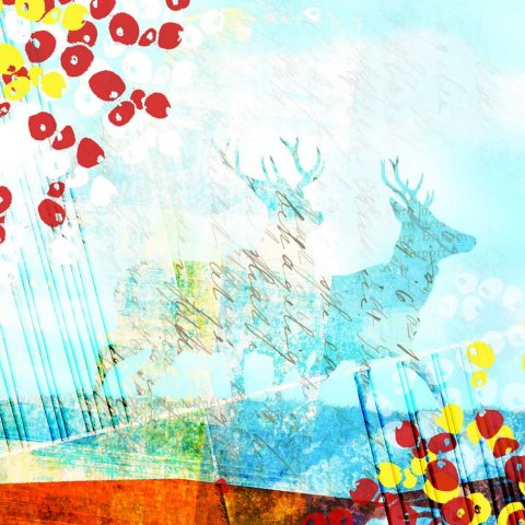 Spring deers